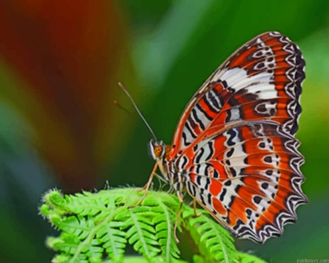 Butterfly On A Leaf Insects Painting By Numberss.png
