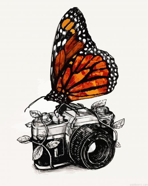 Butterfly On Camera Painting By Numberss.png