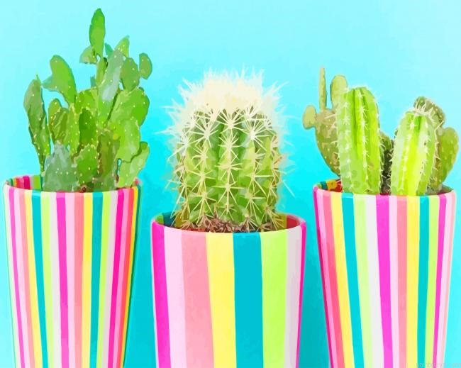 Cactus Types Plants New Painting By Numberss.png