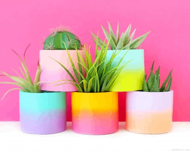 Cactus Types Vases New Painting By Numberss.png