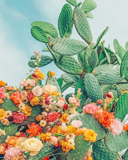 Cactus With Flowers New Painting By Numbers.png