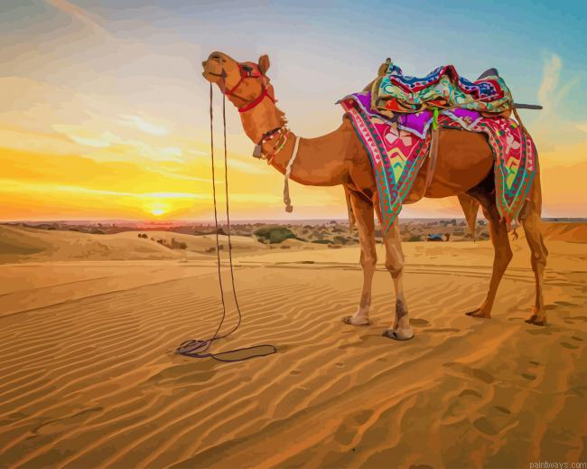Camel In Desert New Painting By Numberss.png
