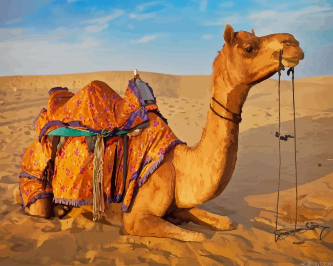 Camel In Sand New Painting By Numberss.png