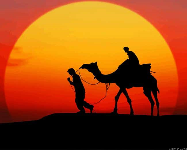 Camel Sunset Silhouette New Painting By Numberss.png