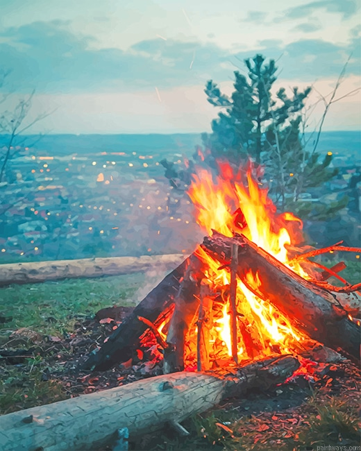 Camping Time New Painting By Numberss.png