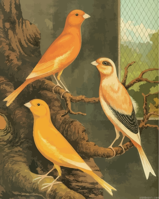 Canary Birds Painting By Numbers.png