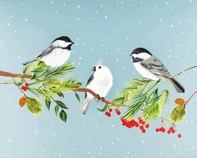 Cap Chickadee In Snow Painting By Numberss.png