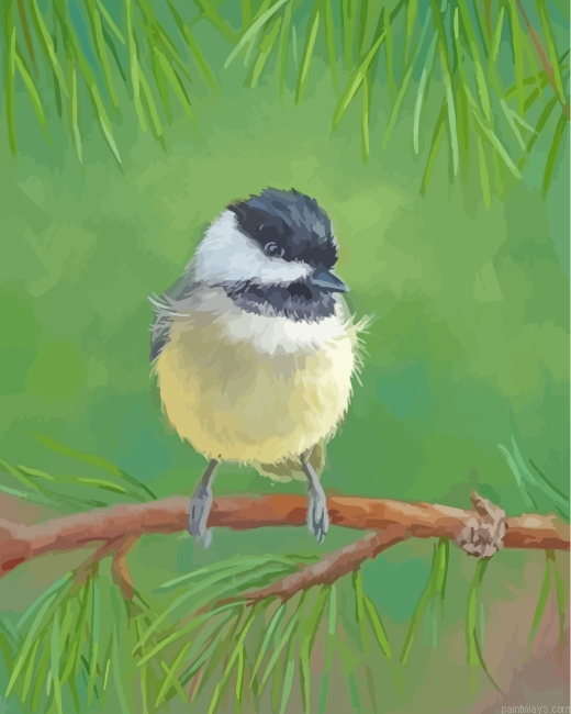 Cap Chickadee On Stick Painting By Numberss.png
