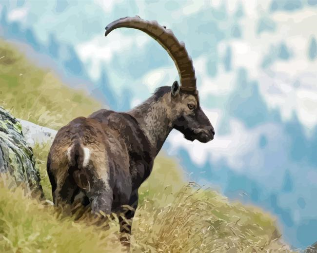 Capra With Long Horns Painting By Numberss.png