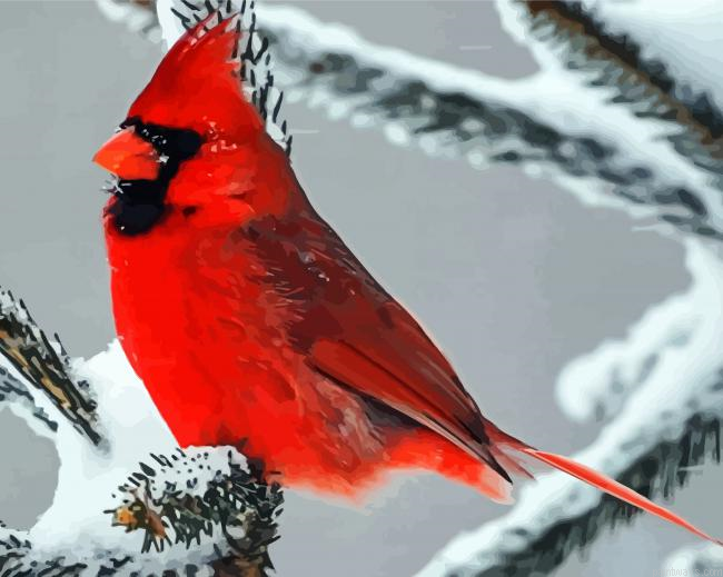 Cardinal In Winter Painting By Numberss.png