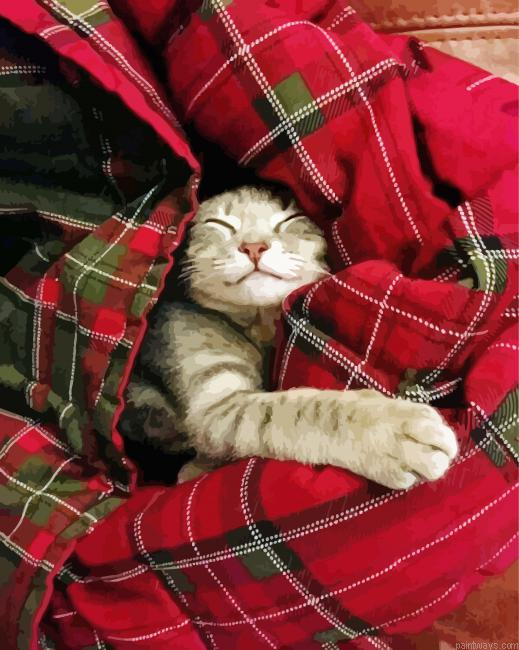 Cat In A Blanket Painting By Numberss.png