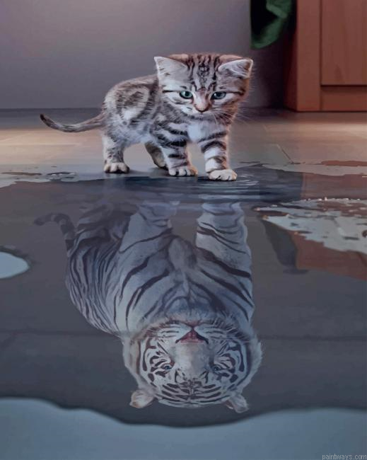 Cat Reflection New Painting By Numberss.png