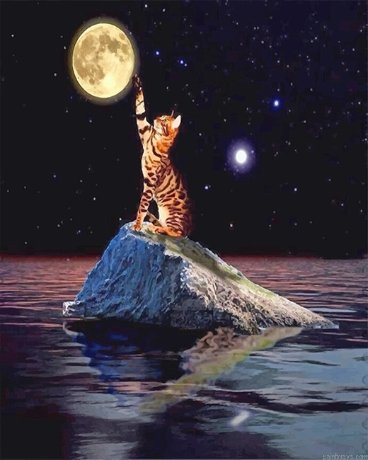 Cat Touching Moon New Painting By Numberss.png