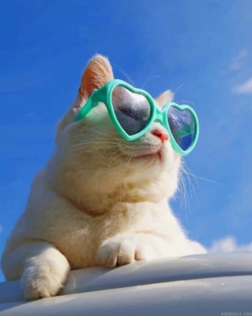 Cat With Heart Glasses Animals Paint By Numbers.png