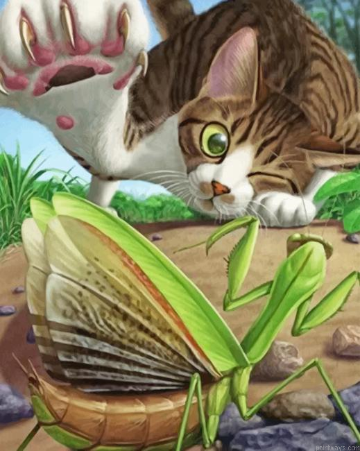 Cat With Insect New Painting By Numberss.png
