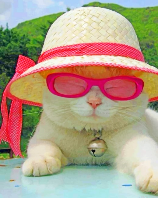 Cat With Sunglasses And Hat Animals Painting By Numberss.png