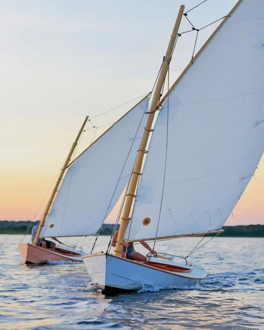 Catboat In Beach New Painting By Numberss.png
