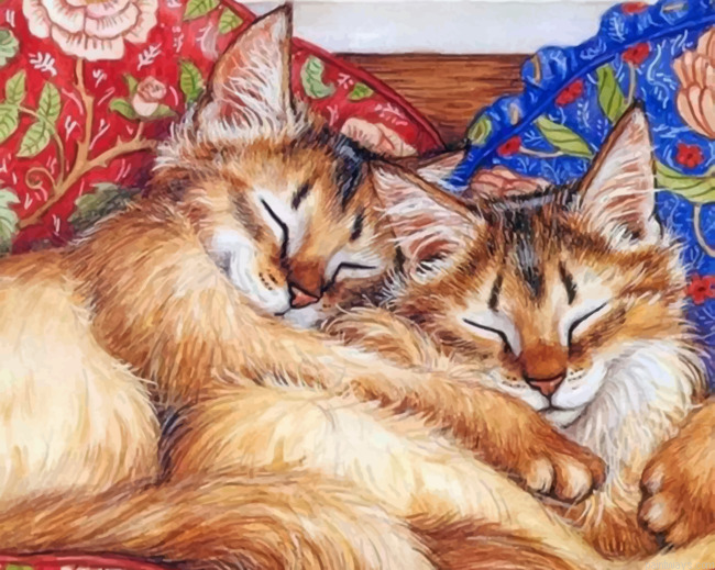 Cats Sleeping Painting By Numbers.png
