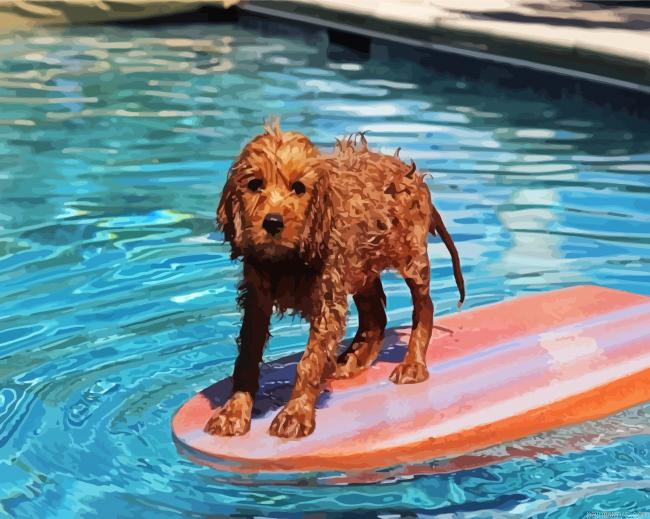Cavapoo Swimming Pool Painting By Numberss.png