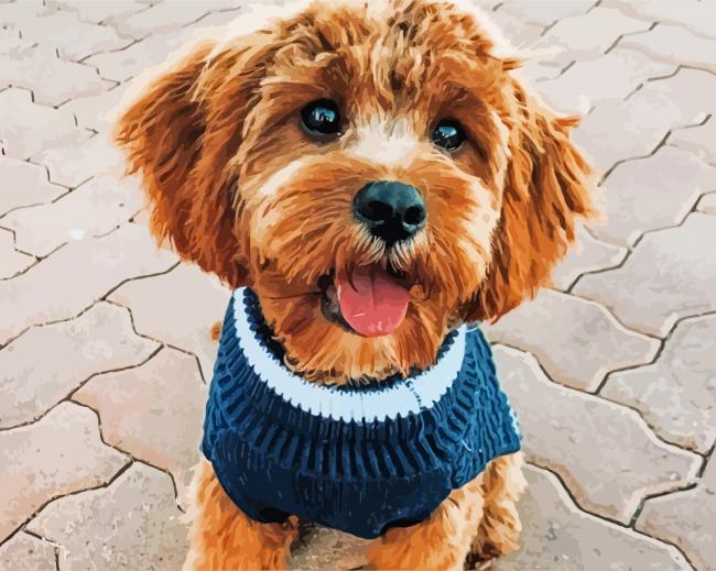 Cavoodle With Clothes Painting By Numberss.png