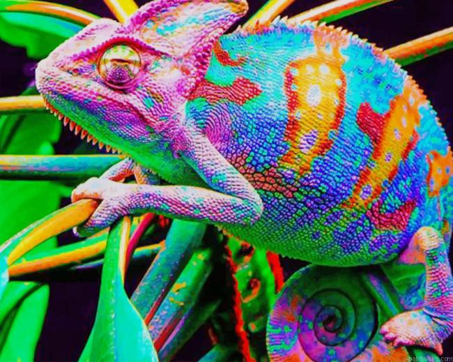 Chameleon Lizard New Painting By Numberss.png