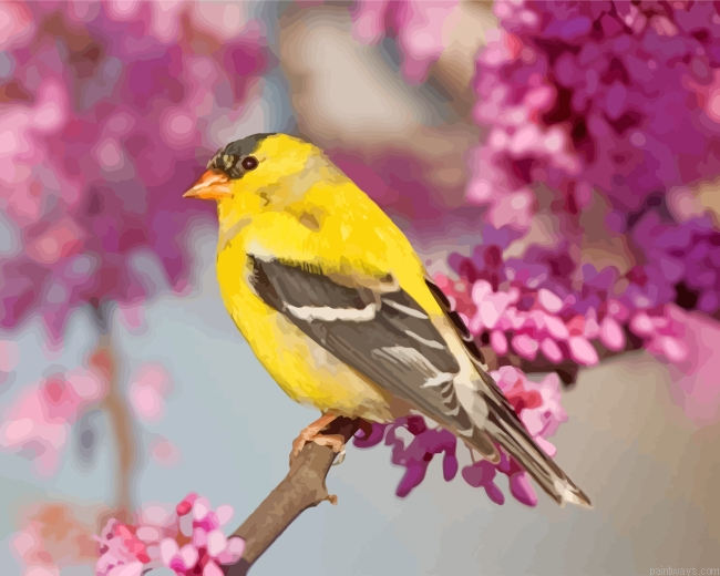 Cherry Blossoms American Goldfinch Painting By Numberss.png