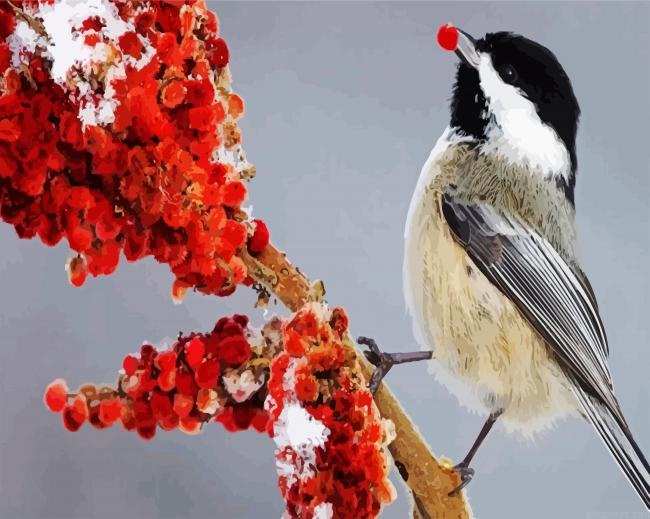 Chickadee Bird Eating Painting By Numberss.png