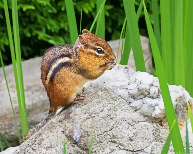 Chipmunk Rodent On Rock Painting By Numberss.png
