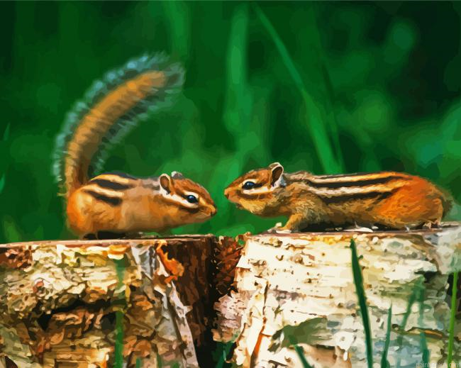 Chipmunks Animals Painting By Numberss.png
