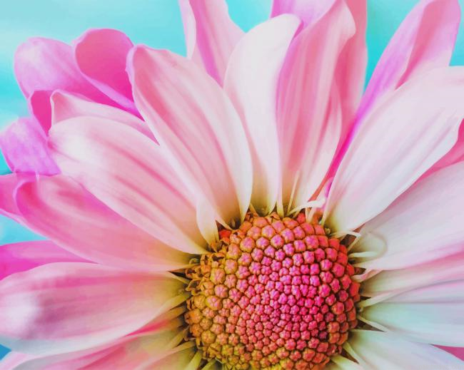 Chrysanthemum Flower New Painting By Numberss.png