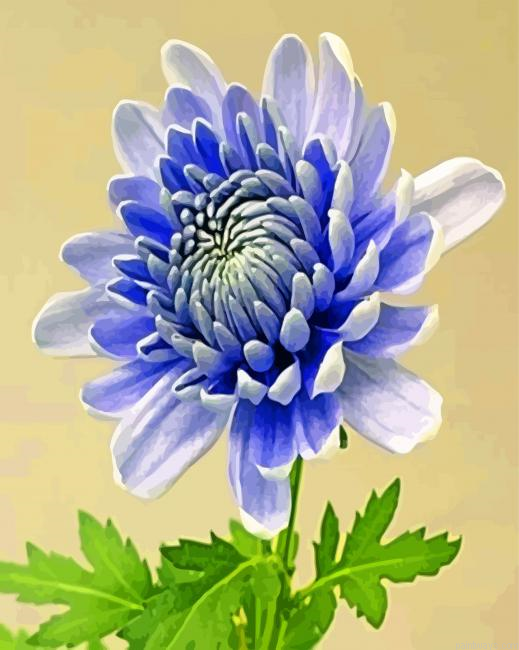 Chrysanthemum Flower Painting By Numbers.png