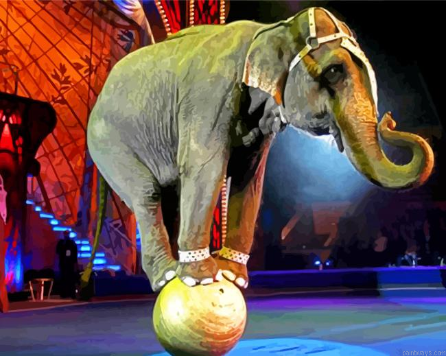 Circus Elephant Painting By Numberss.png