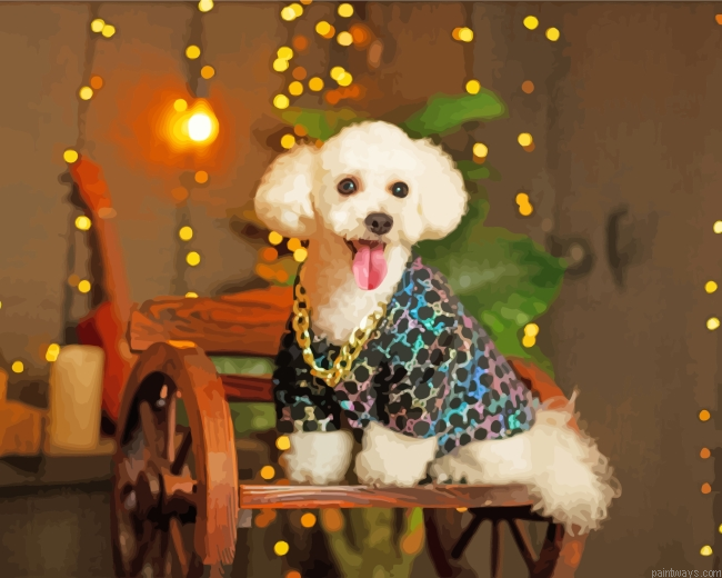 Classy Bichon Dog Painting By Numberss.png