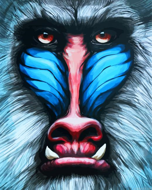 Close Up Mandrill Face Painting By Numberss.png