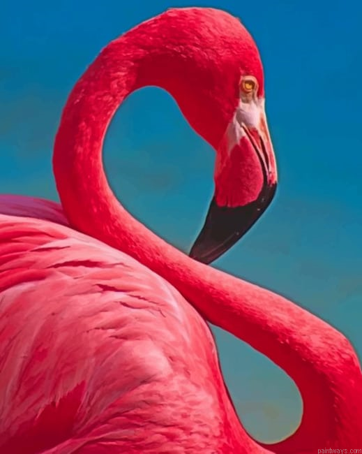 Close Up Pink Flamingo Birds Painting By Numberss.png
