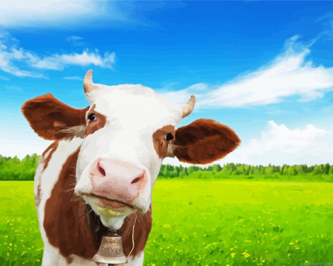 Close Up Real Cows Painting By Numberss.png