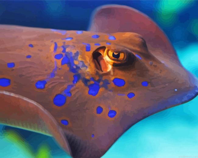 Close Up Stingray Painting By Numberss.png