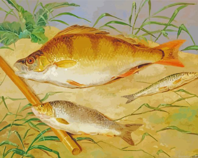 Coarse Fish Painting By Numberss.png