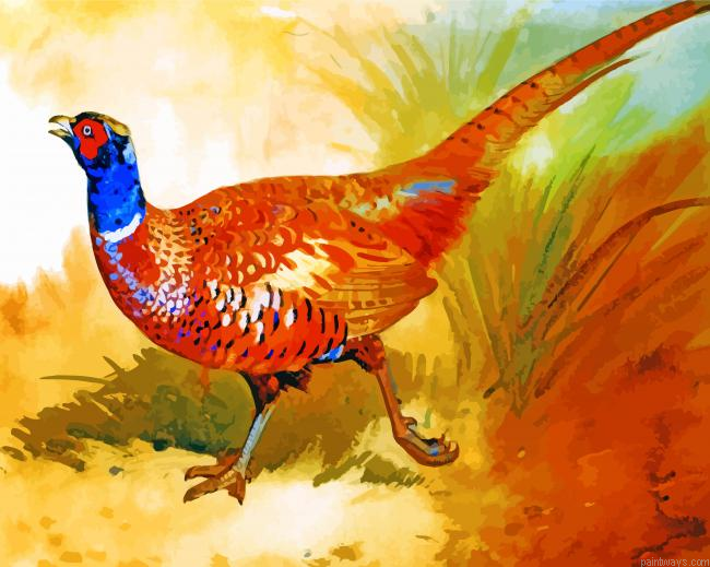 Cock Pheasant Painting By Numbers.png