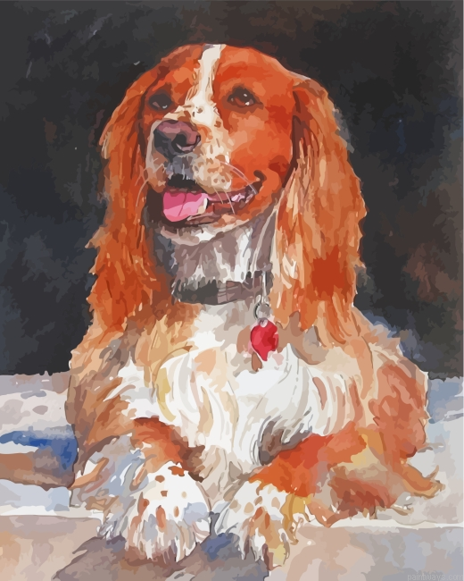 Cocker Dog Art Painting By Numberss.png