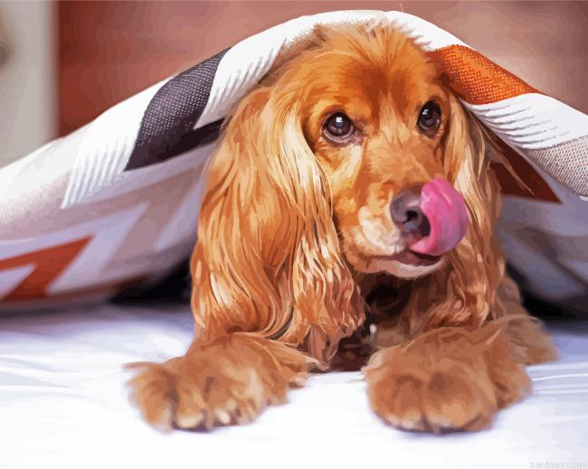 Cocker Spaniel Under Blanket Painting By Numberss.png
