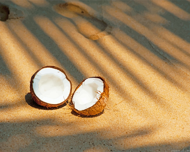Coco Fruit New Painting By Numberss.png
