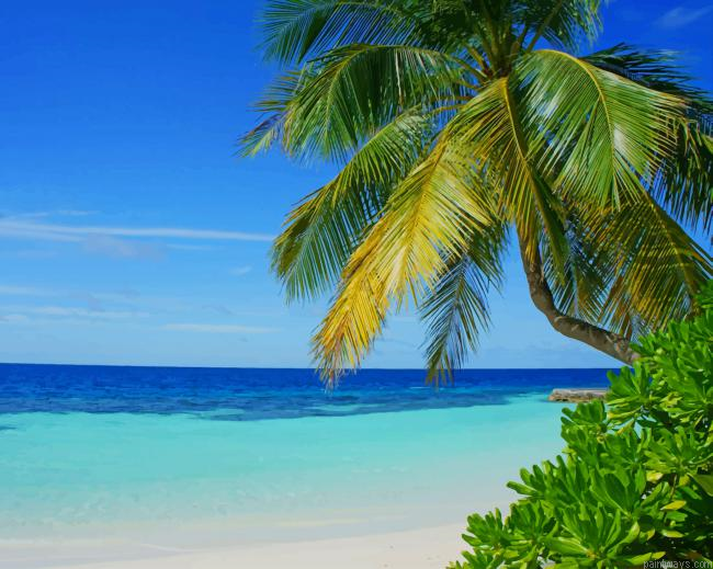 Coconut Tree Maldives New Painting By Numberss.png