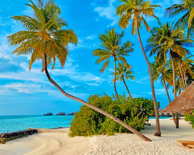 Coconut Tree On Beach Shore Animals Painting By Numberss.png