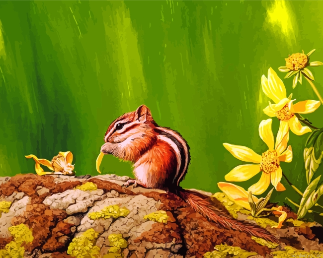 Colorado Chipmunk Painting By Numbers.png