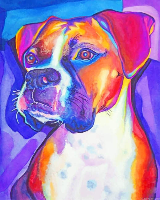 Colored Boxer Dog Animals Painting By Numberss.png
