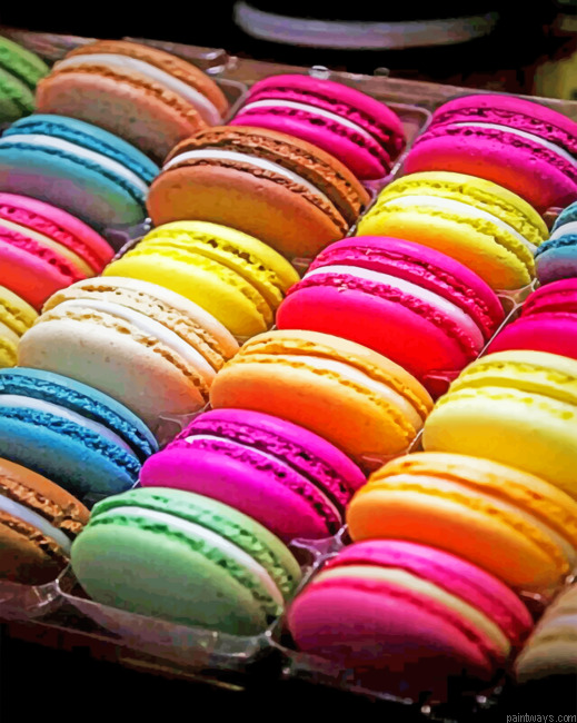 Colored Macaroons Food Painting By Numberss.png