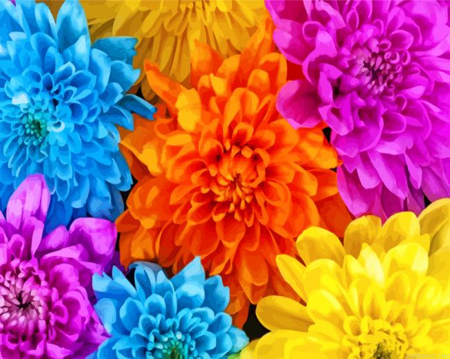 Colorful Chrysanthemum Painting By Numbers.png