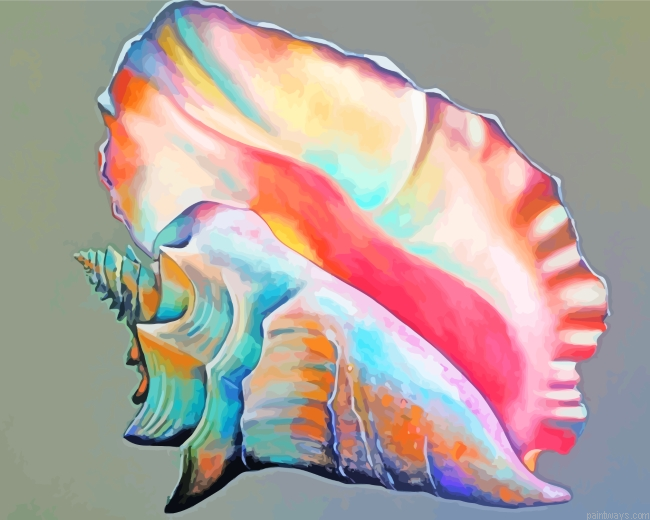 Colorful Conch Shell Painting By Numberss.png