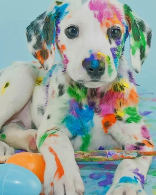 Colorful Dalmatian Painting By Numbers.png